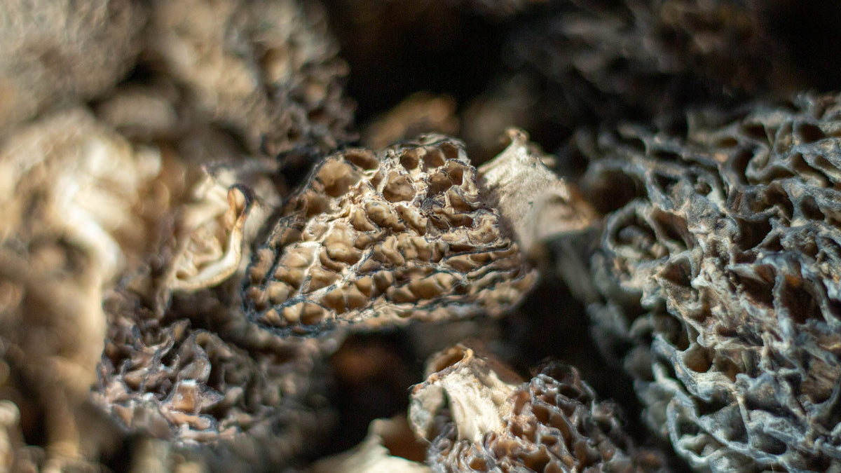 Dried Mushrooms
