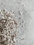 SEAWEED SALT