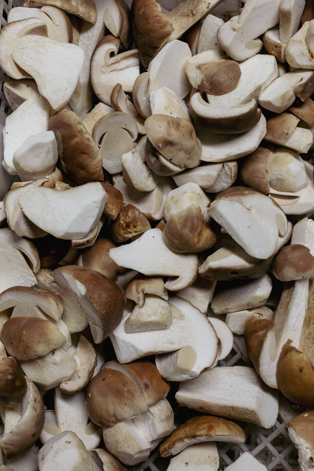Fresh Wild Porcini Mushrooms