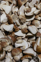 Fresh Wild Porcini Mushrooms