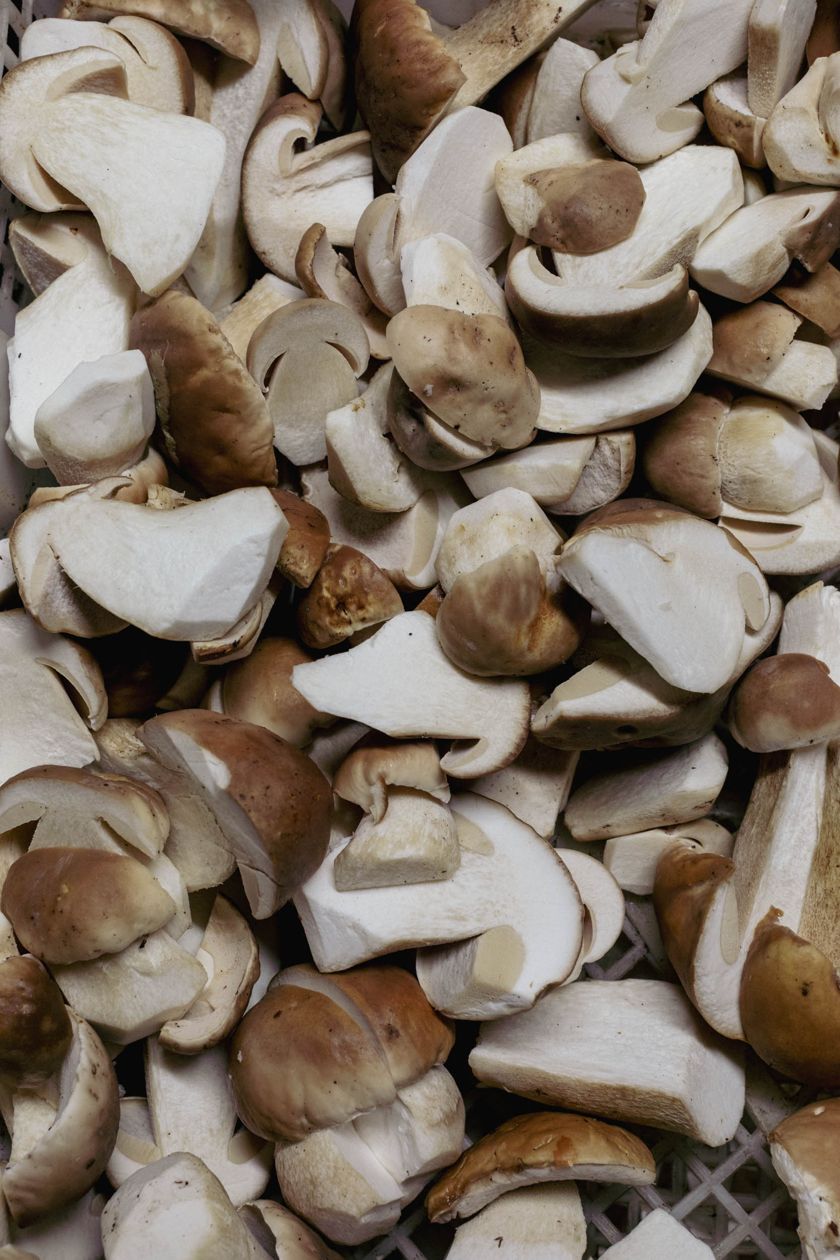 Fresh Wild Porcini Mushrooms