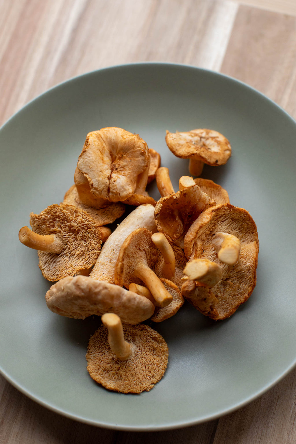 Fresh Wild Hedgehog Mushrooms