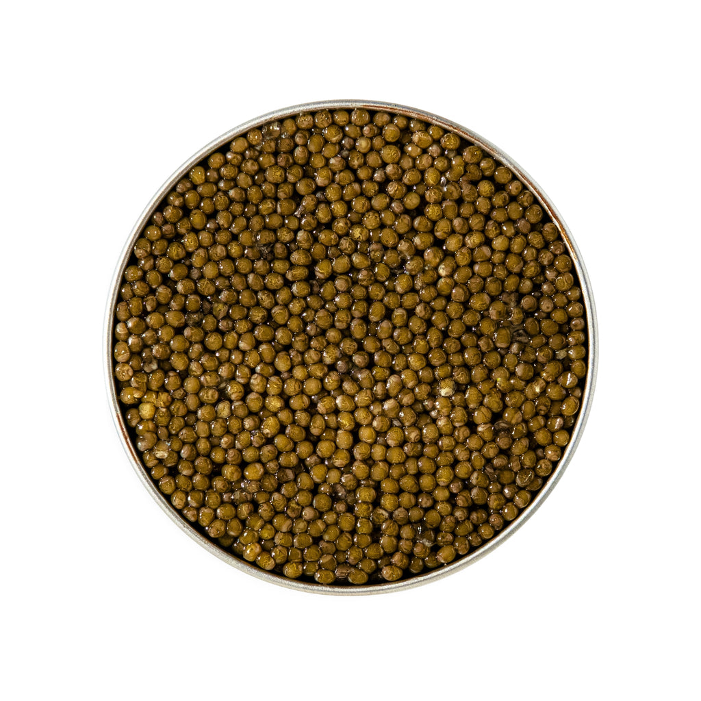 Kaluga Classic Caviar