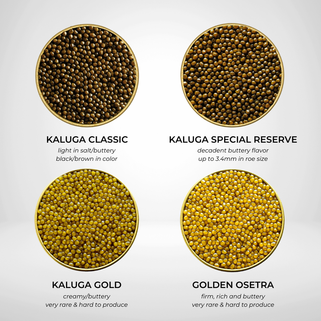 Number One Caviar Starter Set