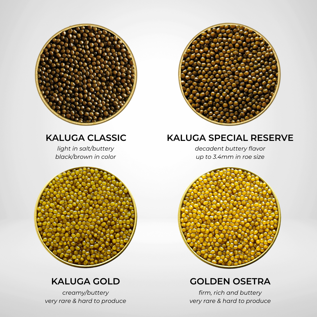 Number One Caviar Starter Set