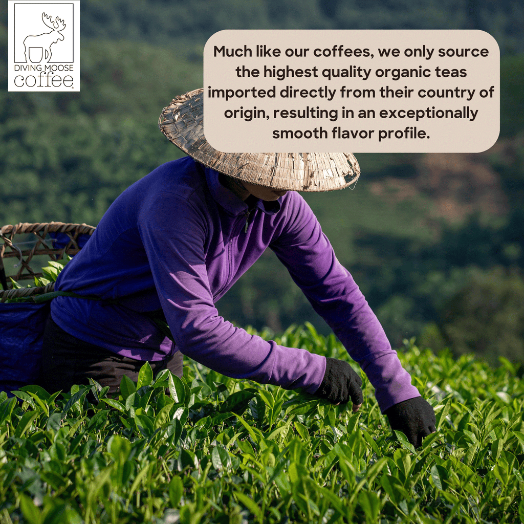 The Japanese Macaque - Organic Ceremonial Grade Matcha Tea