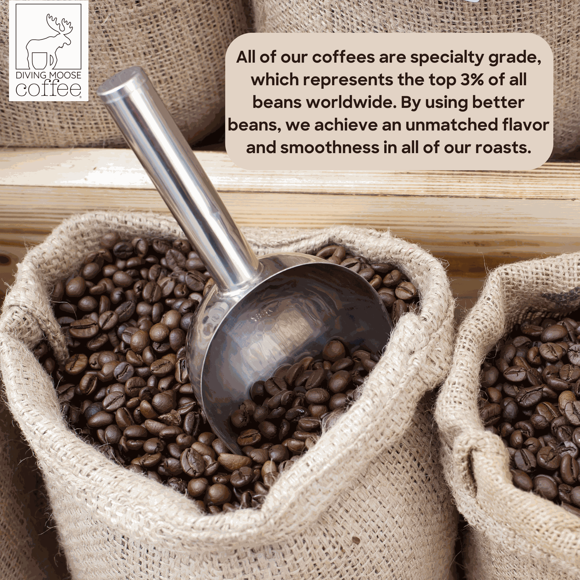 The Koala - Decaf Espresso Dark Roast Blend