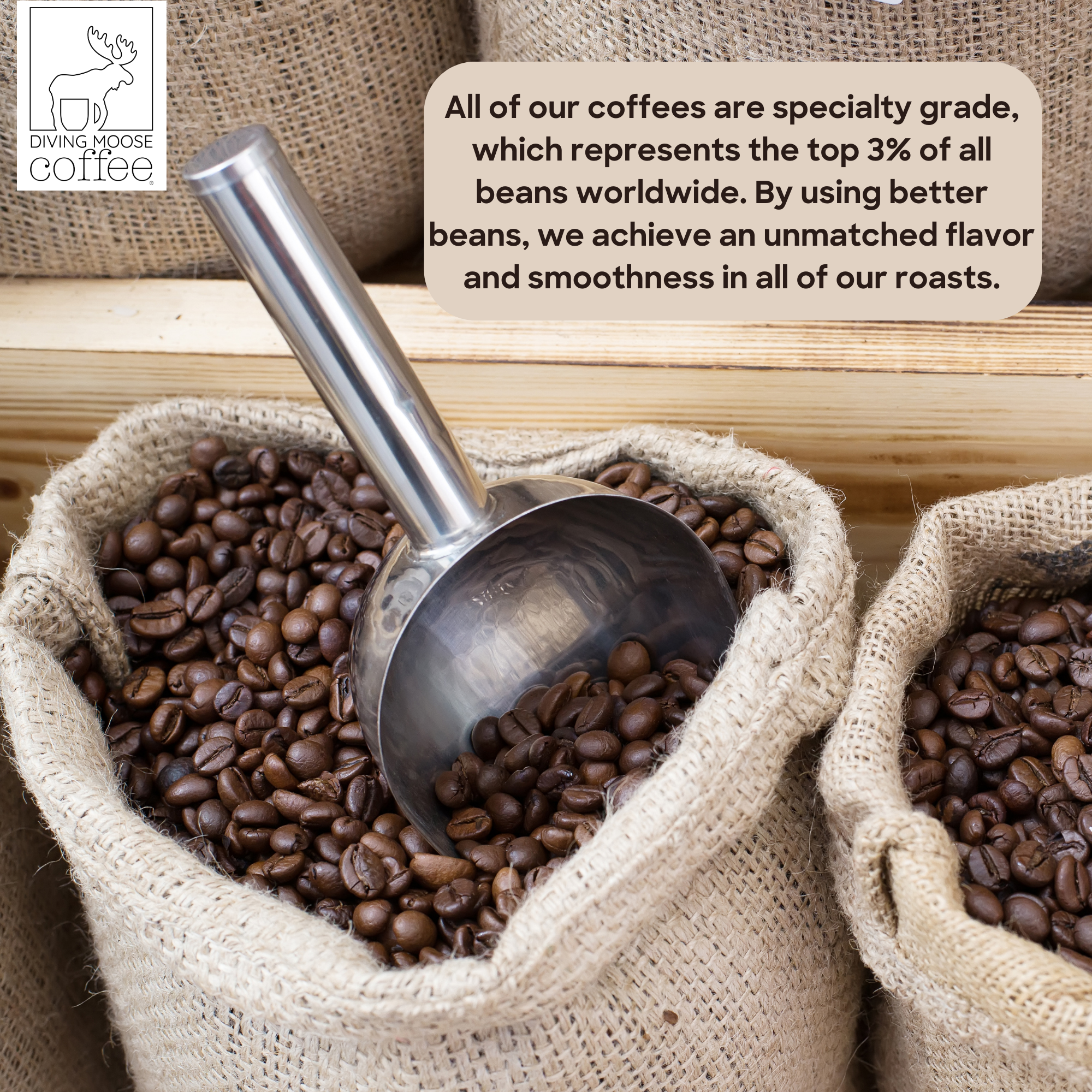 The Nyala - Ethiopia Sidamo Organic Medium-Dark Roast