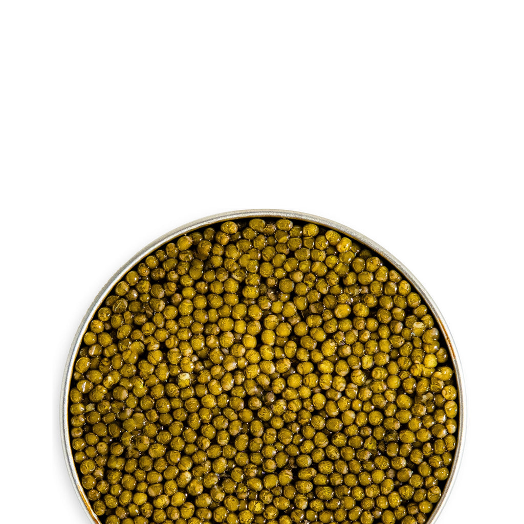 Golden Osetra Caviar