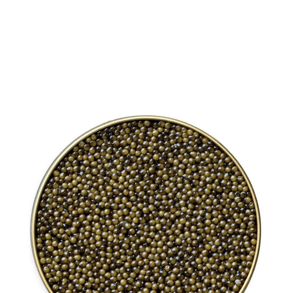 Osetra Classic Caviar