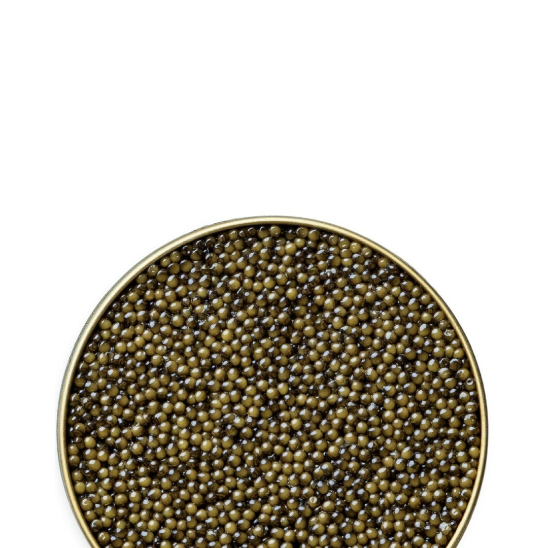Osetra Classic Caviar