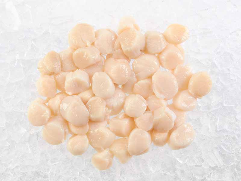 Fulton's Finest Wild Colossal Dry Sea Scallops Stock Up Bundle