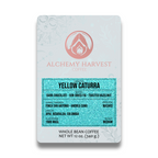 Yellow Caturra - Washed