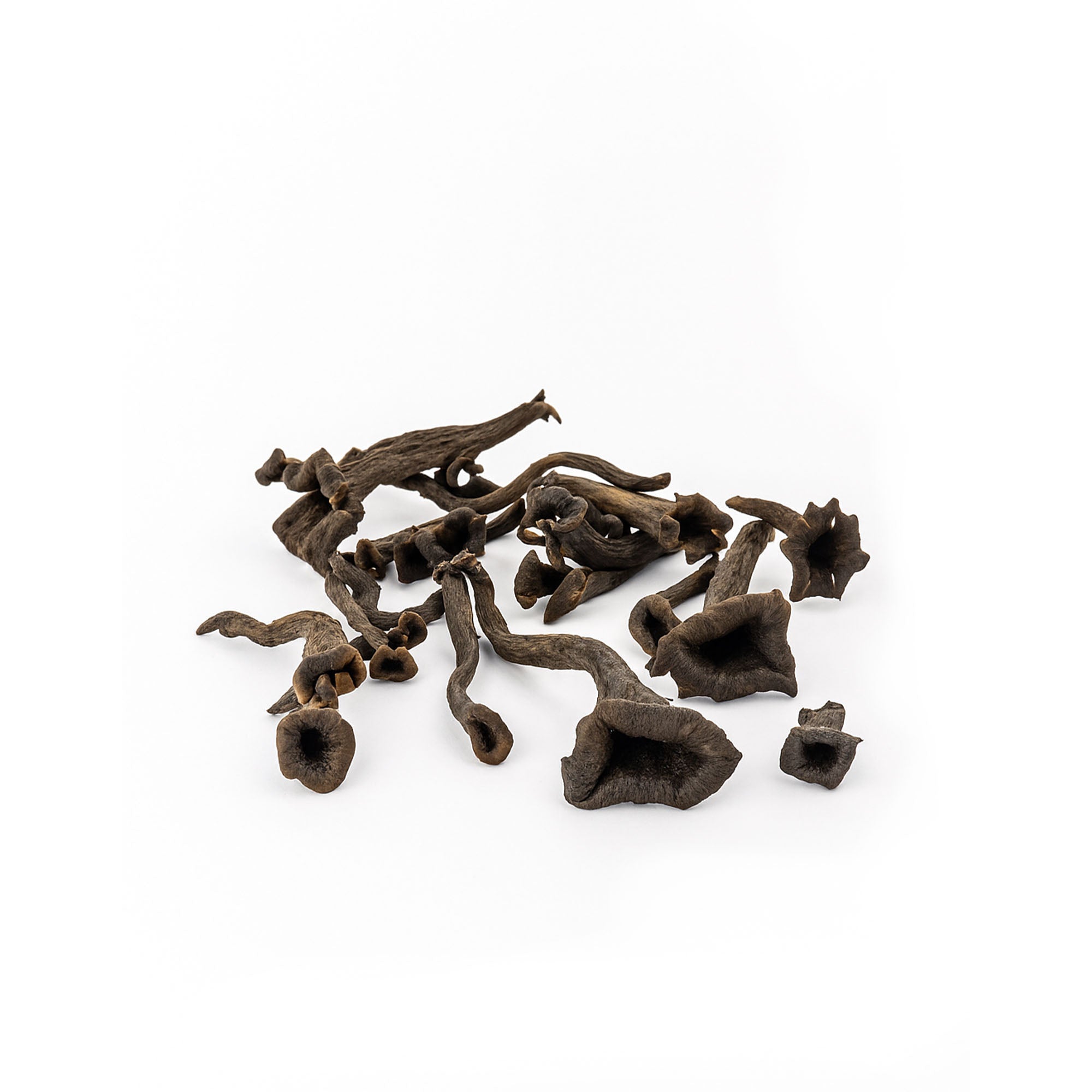 Fresh Wild Black Trumpet Mushrooms