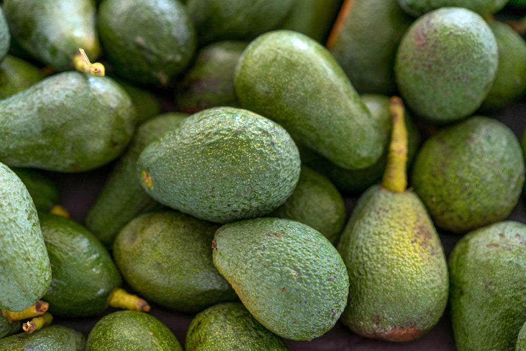 12 Large Hass Avocados - Farmers Dozen