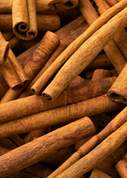 Cassia Cinnamon (Cinnamomum cassia)