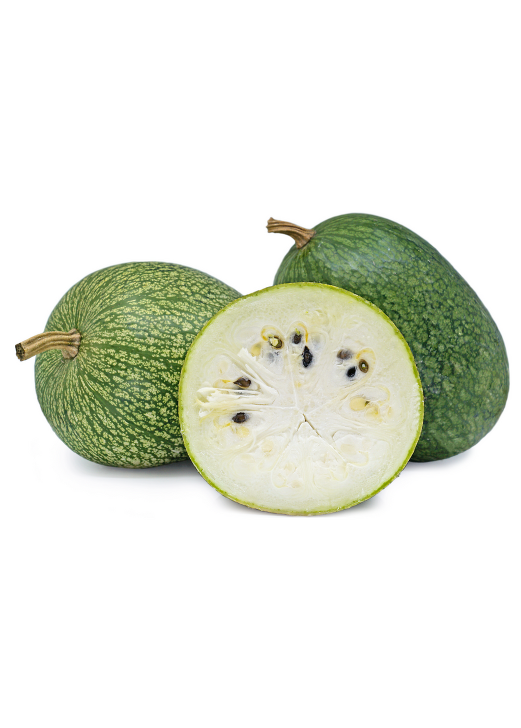 Chilacayote Squash (Cucurbita ficifolia)