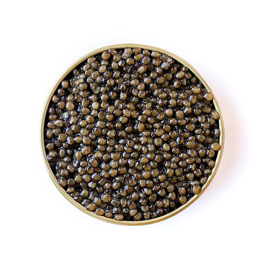 Reserve Polish Ossetra Caviar
