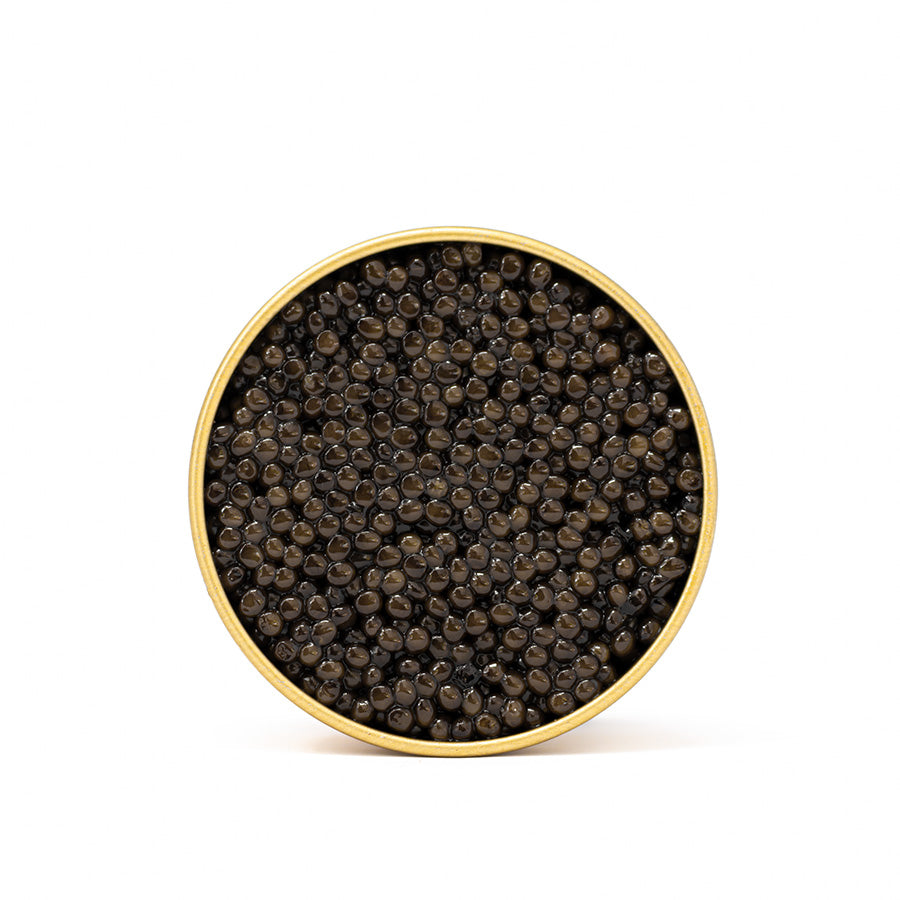 Caviar & Uni Pasta Kit