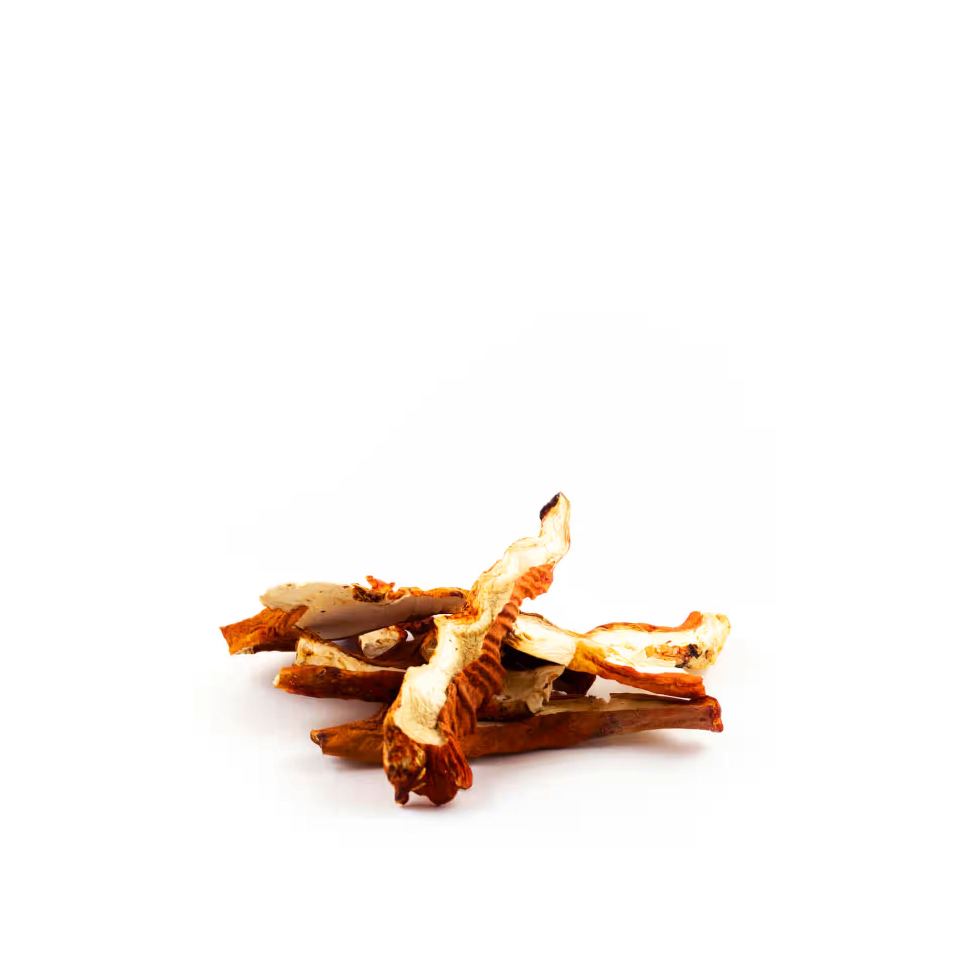 Dried Wild Lobster Mushrooms