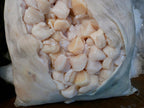 Fulton's Finest Wild Colossal Dry Sea Scallops Stock Up Bundle