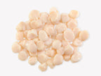Fulton's Finest Wild Colossal Dry Sea Scallops Stock Up Bundle