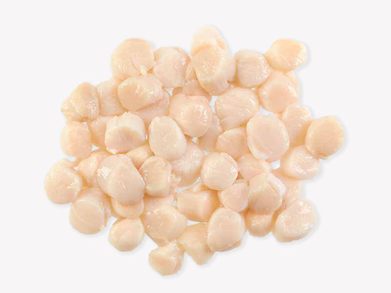 Fulton's Finest Wild Colossal Dry Sea Scallops Stock Up Bundle