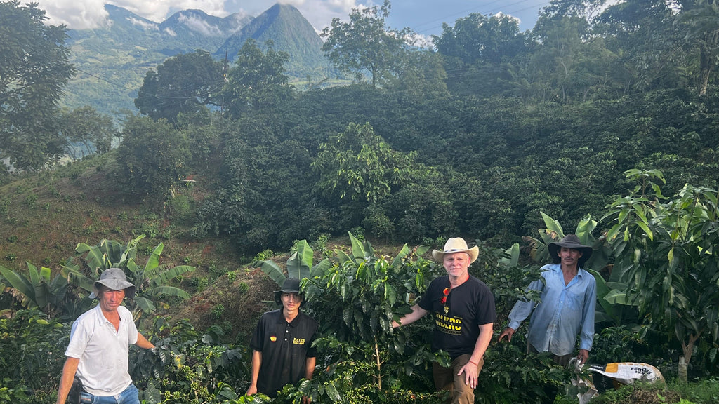 La Maria Medium Roast – Colombian Specialty Coffee | El Viajero