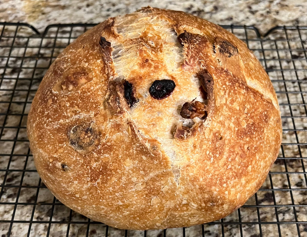 120 Year old Active Sourdough Bread Starter