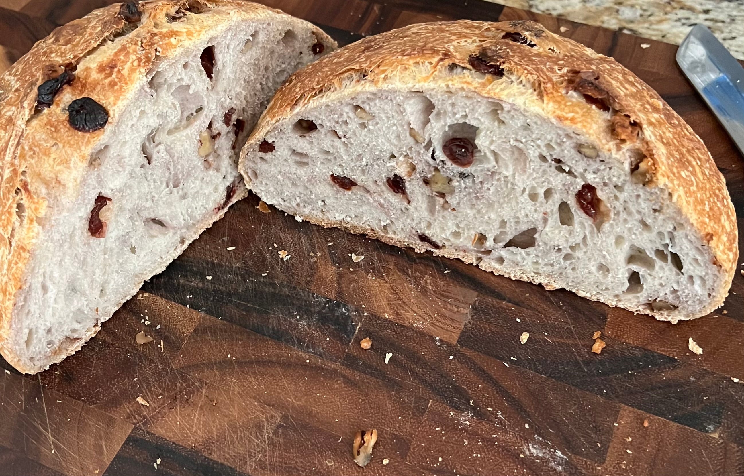 120 Year old Active Sourdough Bread Starter