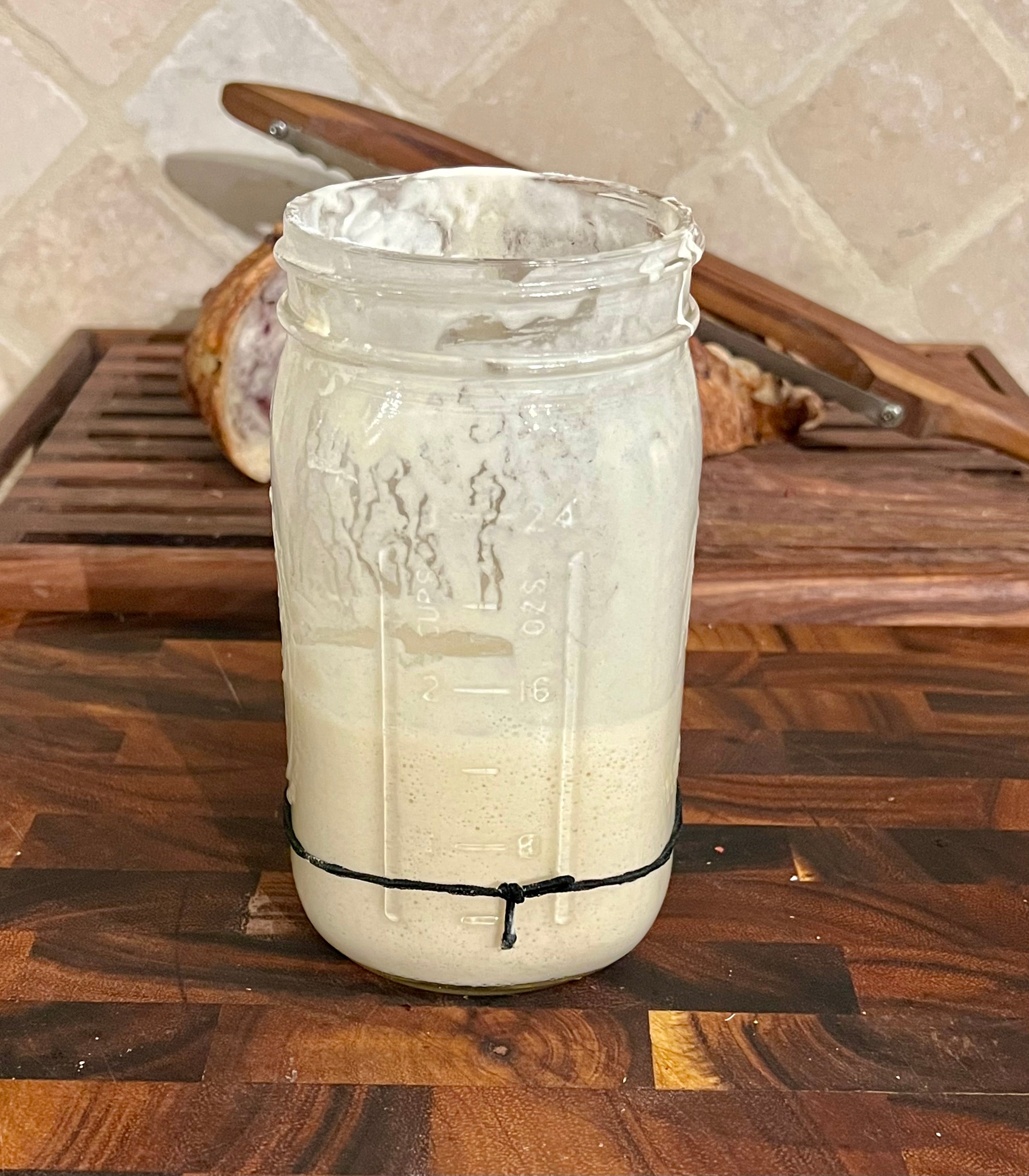 120 Year old Active Sourdough Bread Starter