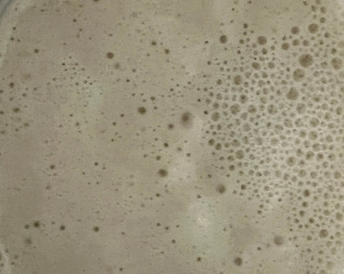 120 Year old Active Sourdough Bread Starter