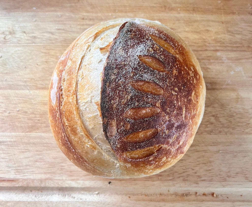120 Year old Active Sourdough Bread Starter