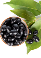 Jamun (Syzygium cumini)