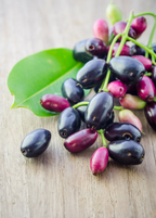 Jamun (Syzygium cumini)