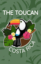 The Toucan - Costa Rica Terrazu Morning Medium-Light Roast