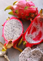 Dragon Fruit, White 'Vietnamese Jaina' (Hylocereus undatus)