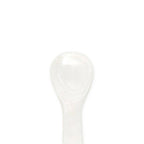 Abalone Shell Mother of Pearl (Large)