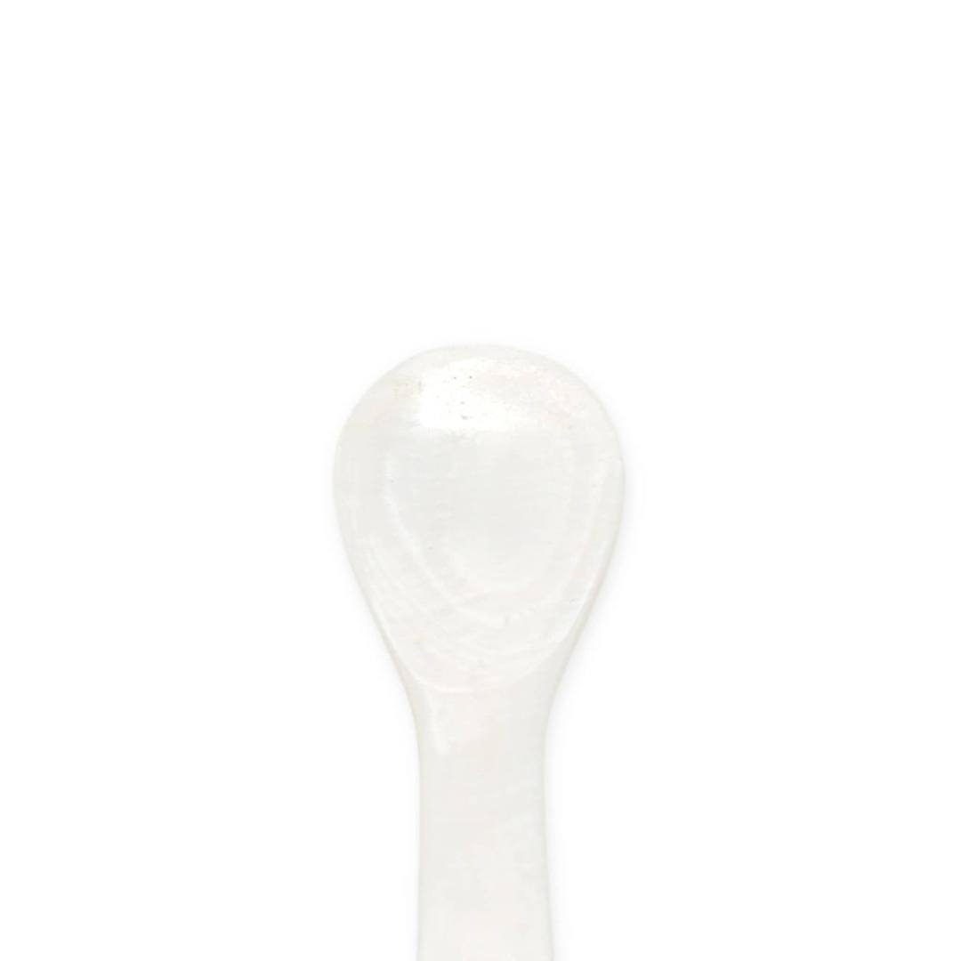 Abalone Shell Mother of Pearl (Large)