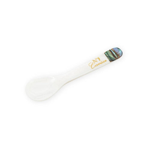 Abalone Shell Mother of Pearl (Large)