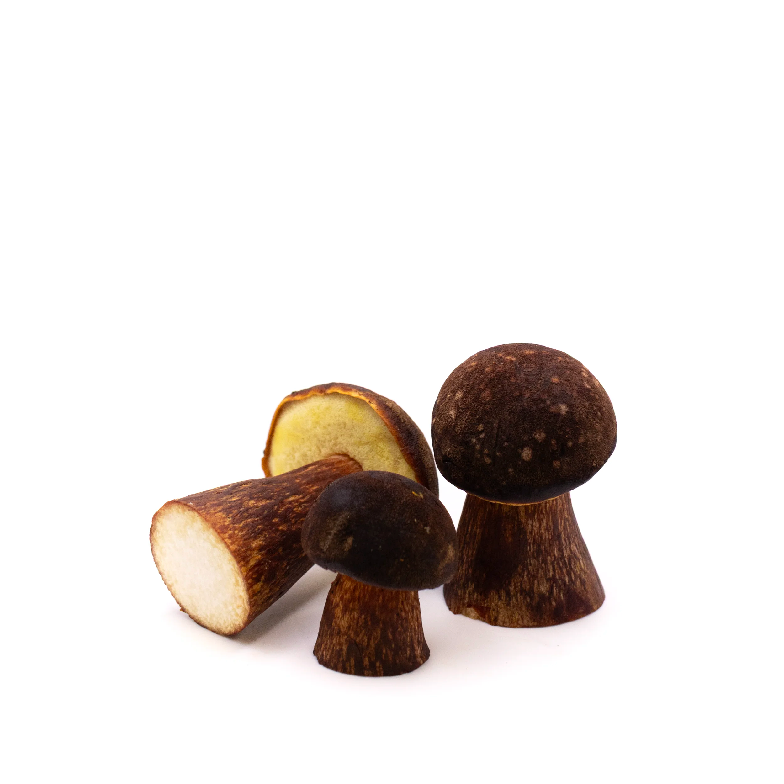 Fresh Wild Admiral Boletes