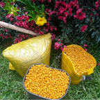 Yellow Bourbon - Honey