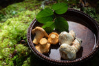 Fresh Wild Matsutake