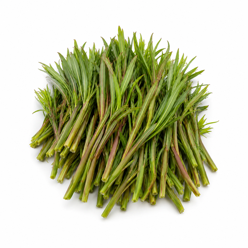 Fresh Wild Fireweed Shoots
