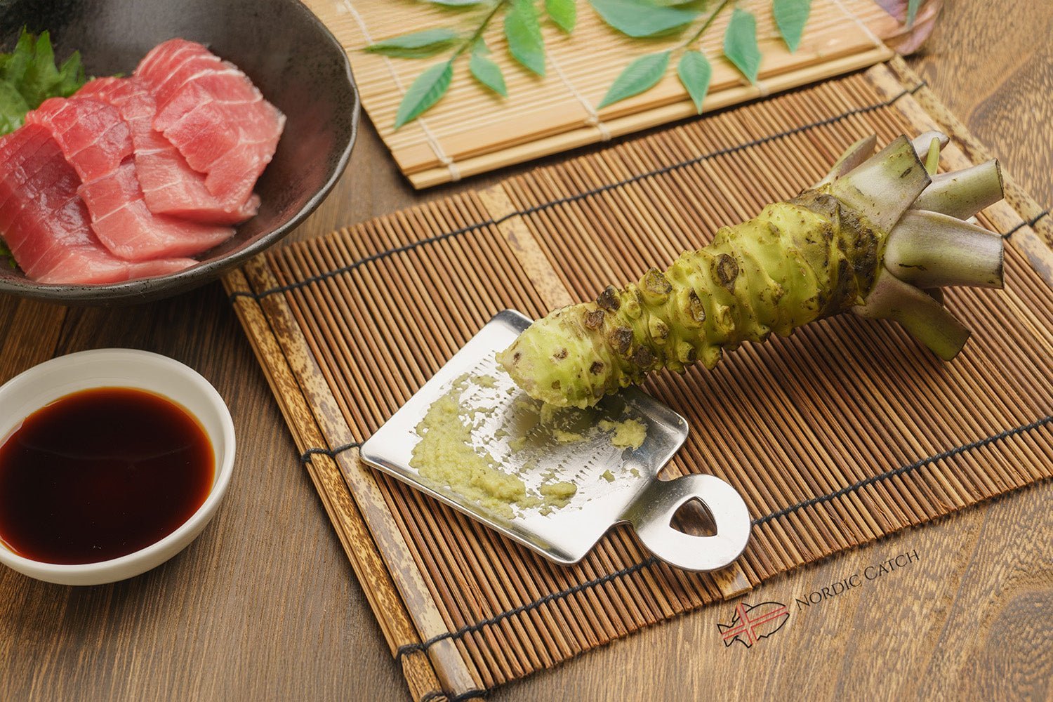 Fresh Japanese Wasabi Root + Steel Shark Grater Bundle
