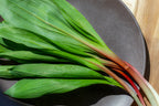 Fresh Wild Ramps