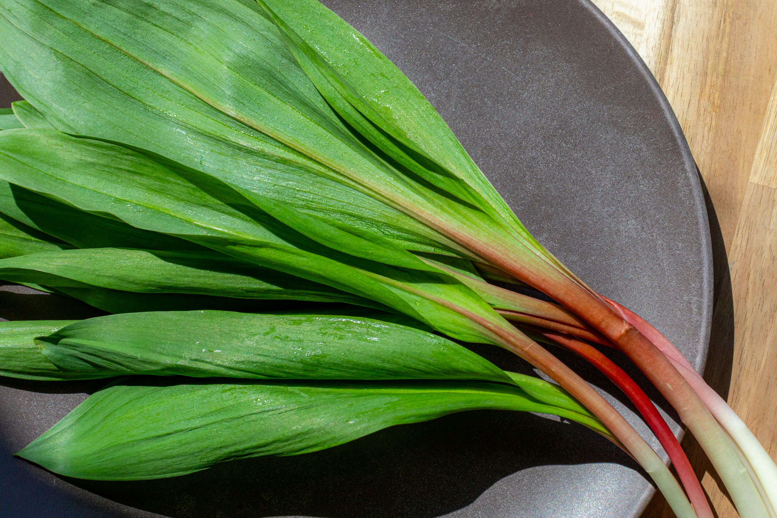 Fresh Wild Ramps