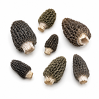 Fresh Wild Grey and Green Morels