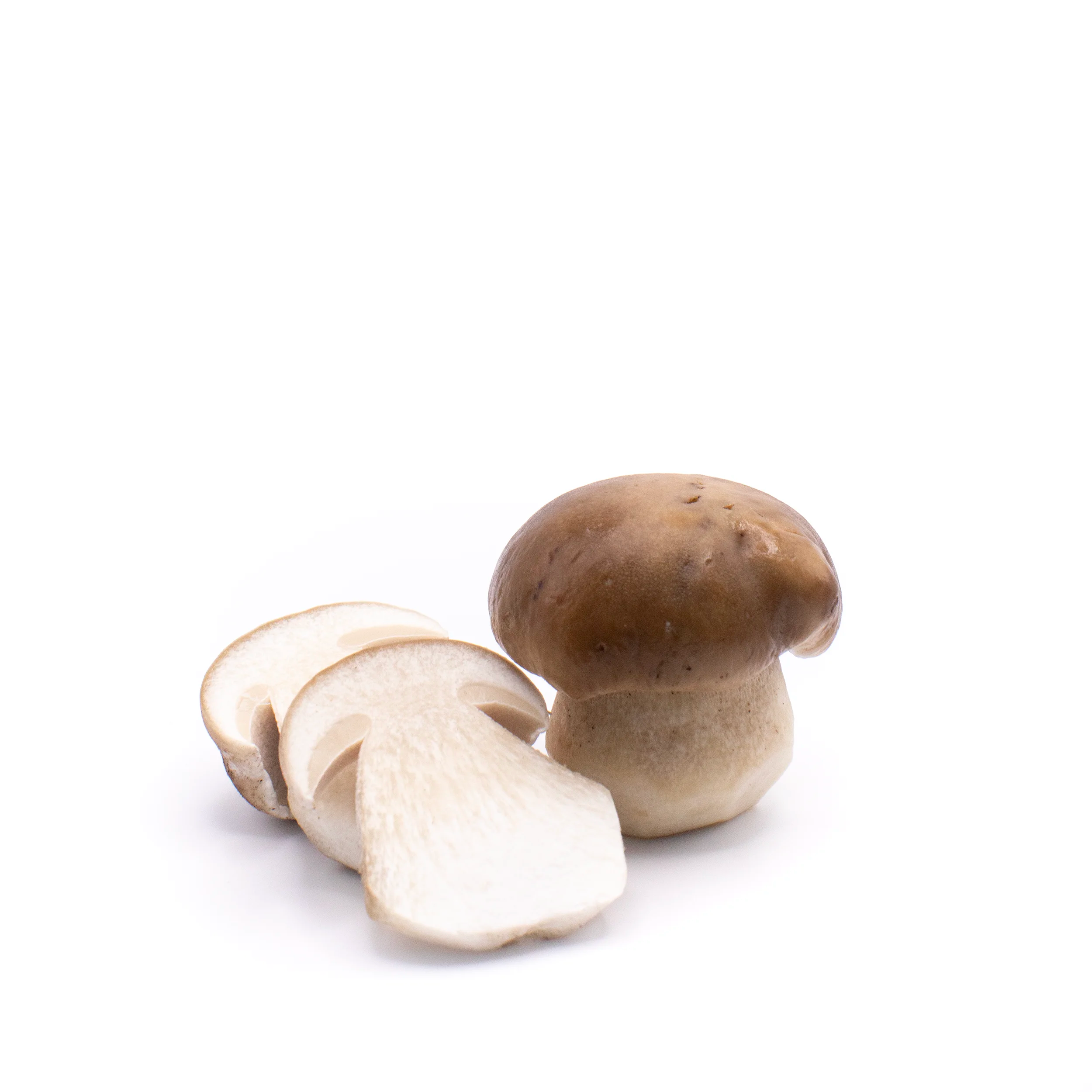 Fresh Wild Porcini Mushrooms