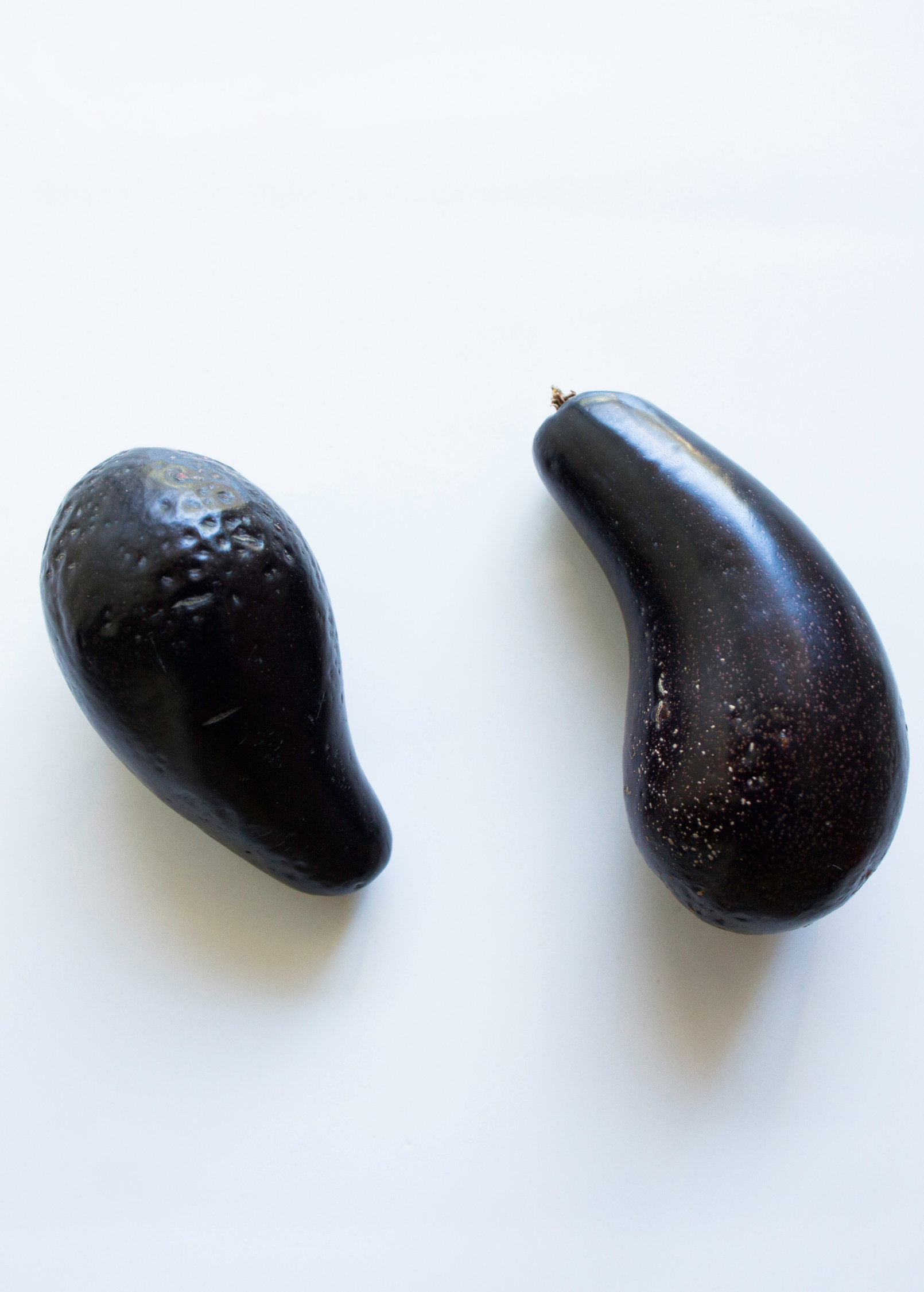 Avocado 'Mexicola' (Persea americana)